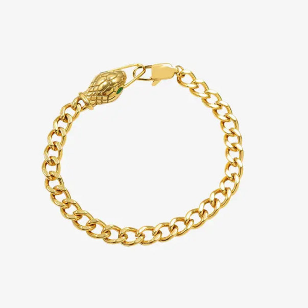 Snake Head Chain Titanium Bracelet | Samuels Jewelers